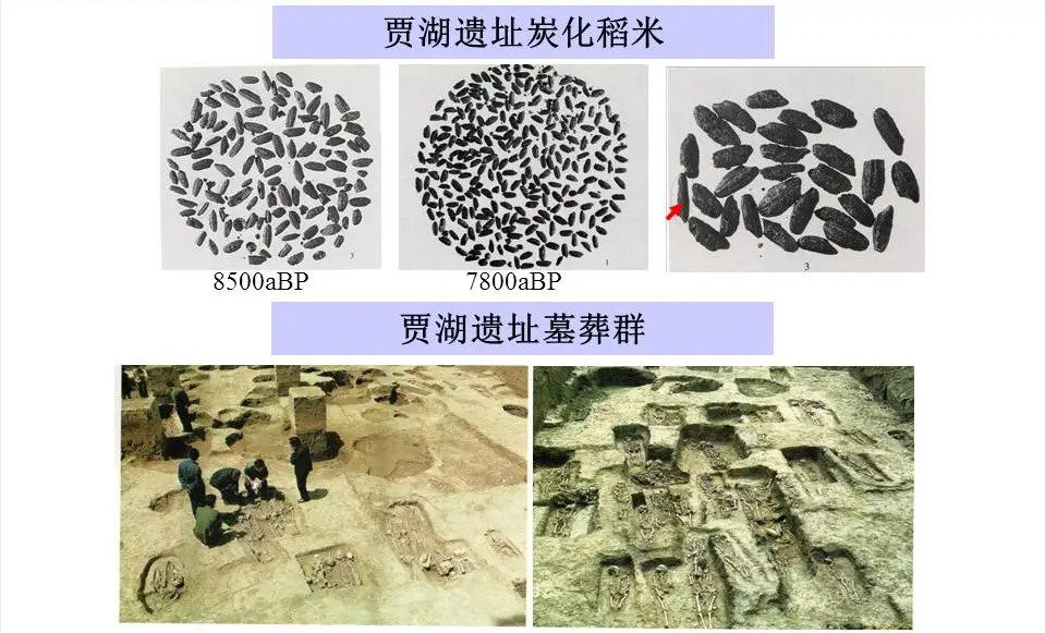 北晚在线北京晚报官方网站
